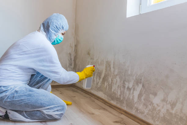 Commercial Mold Remediation assessment for commercial property in Chester